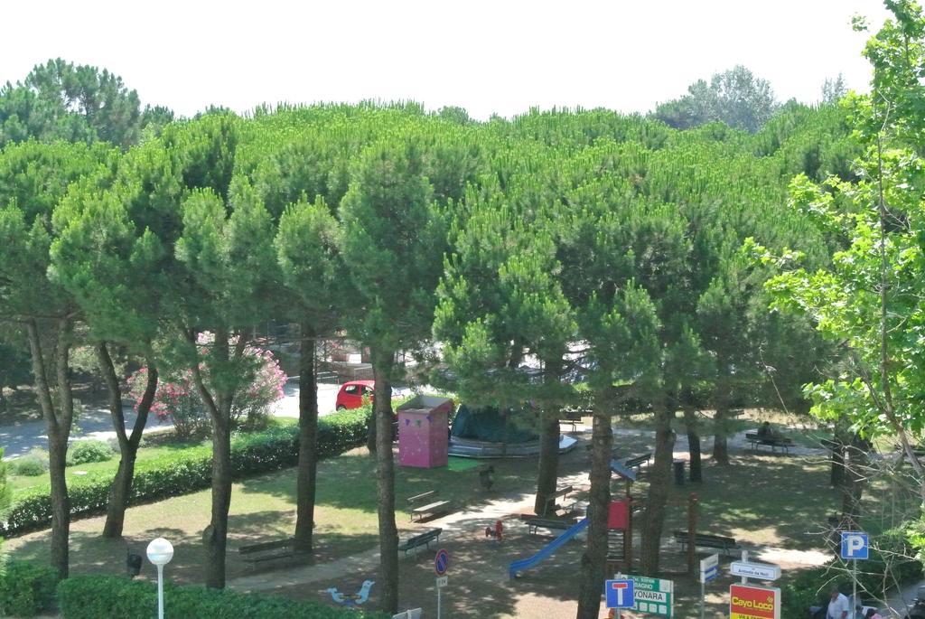 Antonella Hotel Lido di Classe